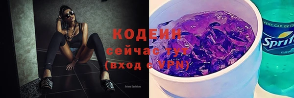 прущие крисы Абаза