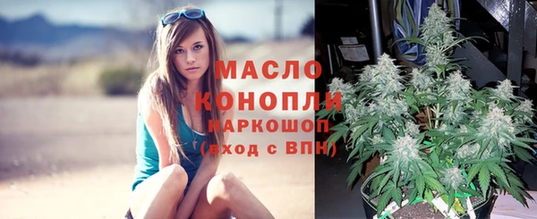молекула духа Абинск