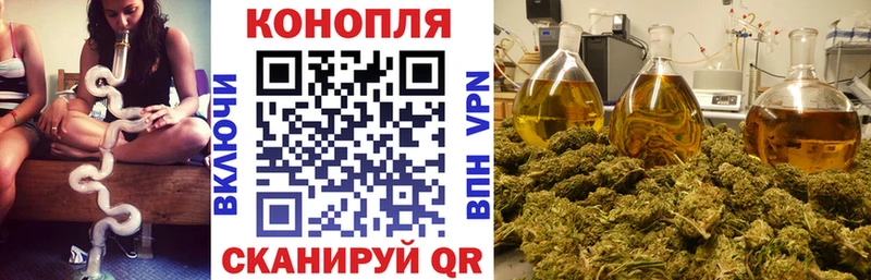 Каннабис гибрид  Абинск 